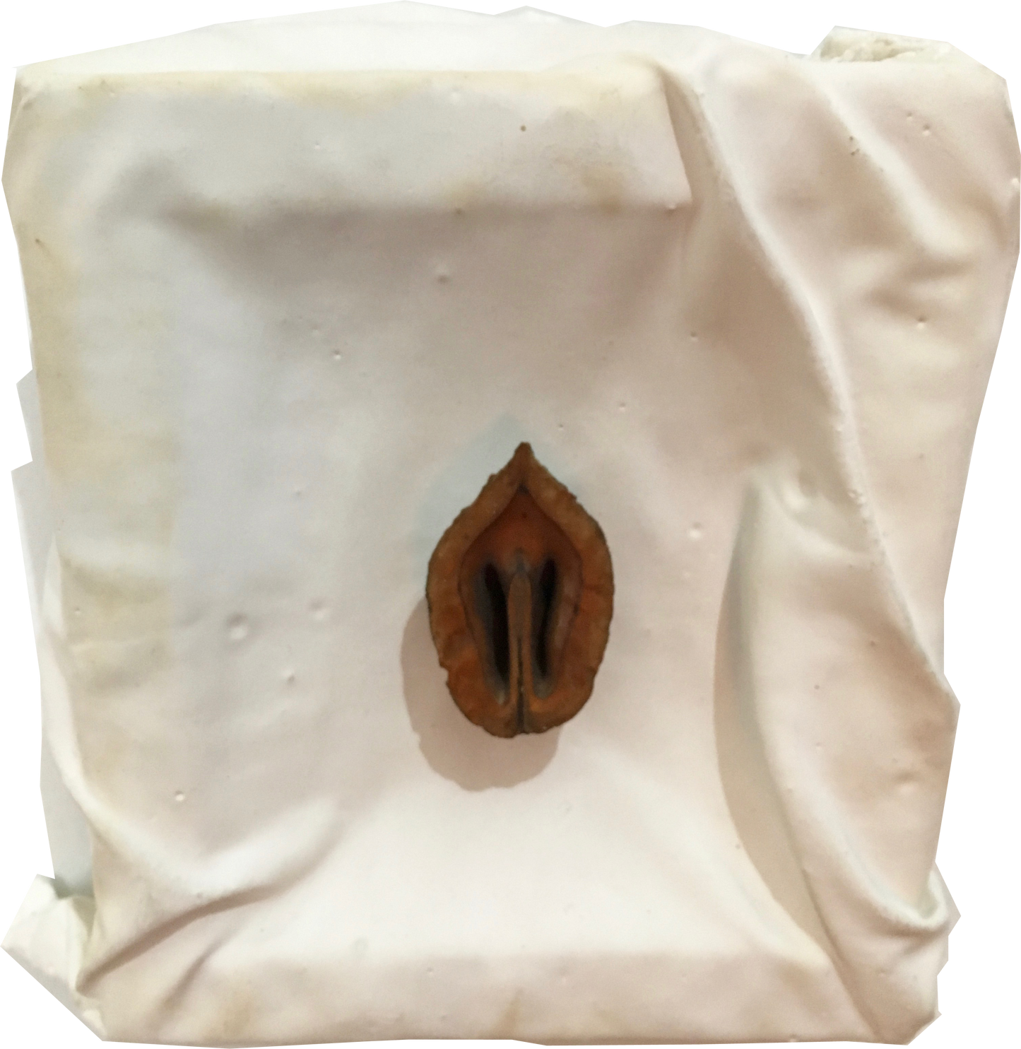 Alter: Walnut