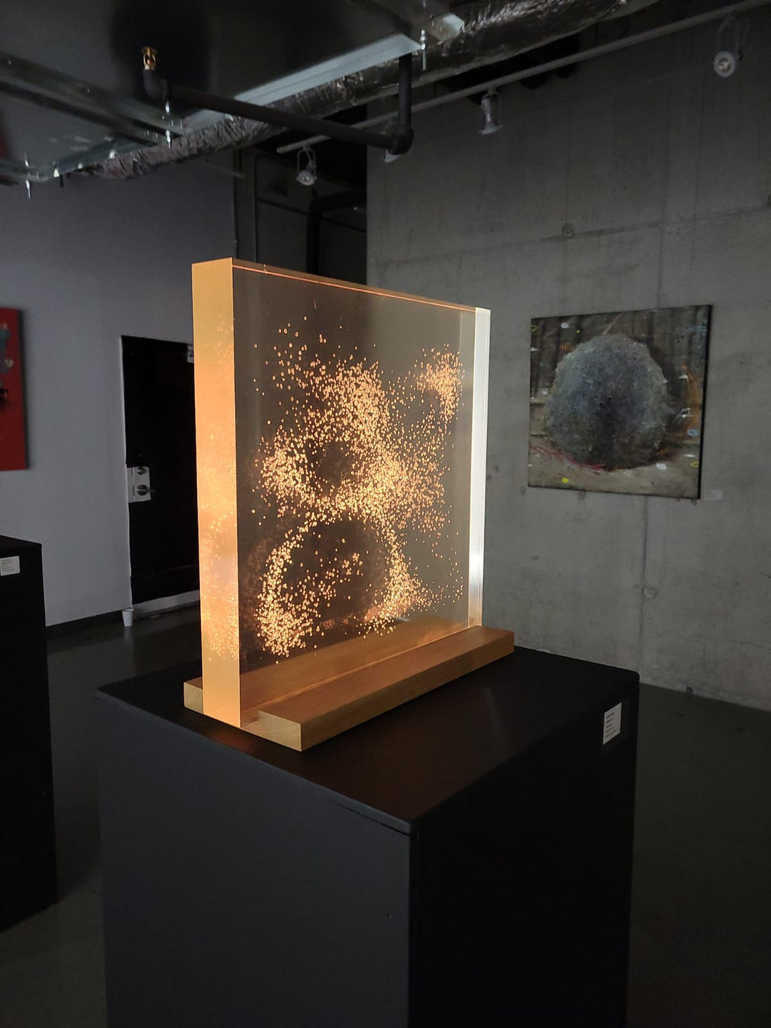 See whirlwind tour of opening night 'Shadow to Light' Exhibition.  See video