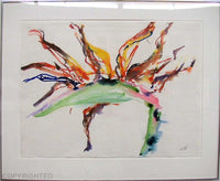 Bird Of Paradise Art