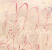 Small Glimpses Many Times (Pink Loops)