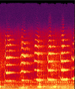 Song Of The Whales: Pilot Whale Sonogram By Hagop Ohannessian